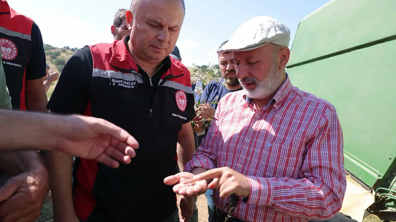 Kayseri'de ilk kez hasat edildi! Karabuğday çiftçiye yeni kapı açacak
