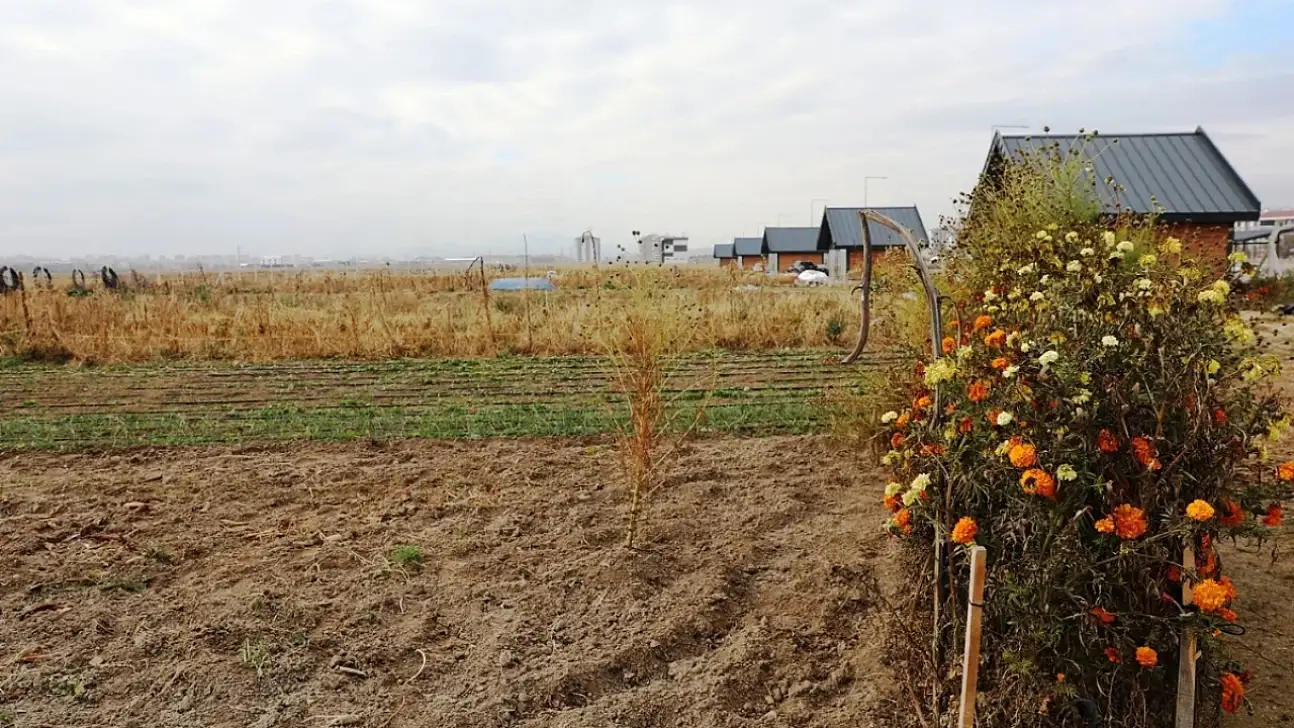 Kayseri'de kadınlar yetiştirdi, vatandaşlar bahçeden aldı