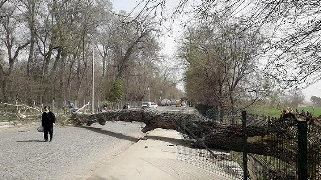 Kayseri'de kuvvetli rüzgâr ve fırtına alarmı