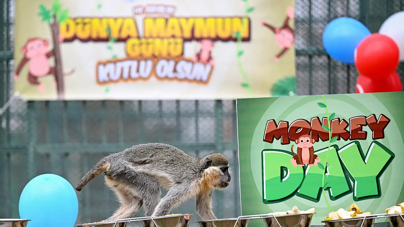 Kayseri'de muzlu kutlama