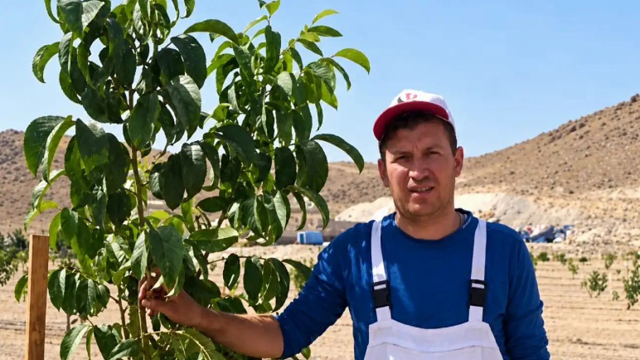 Kayseri'de olmaz denilen yerde 15 ton ürettiler!