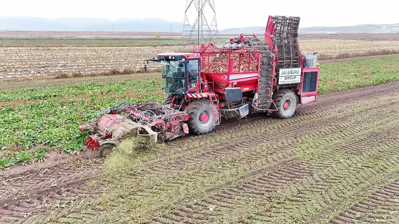 Kayseri'de hasat başladı! Hedef 50 bin ton