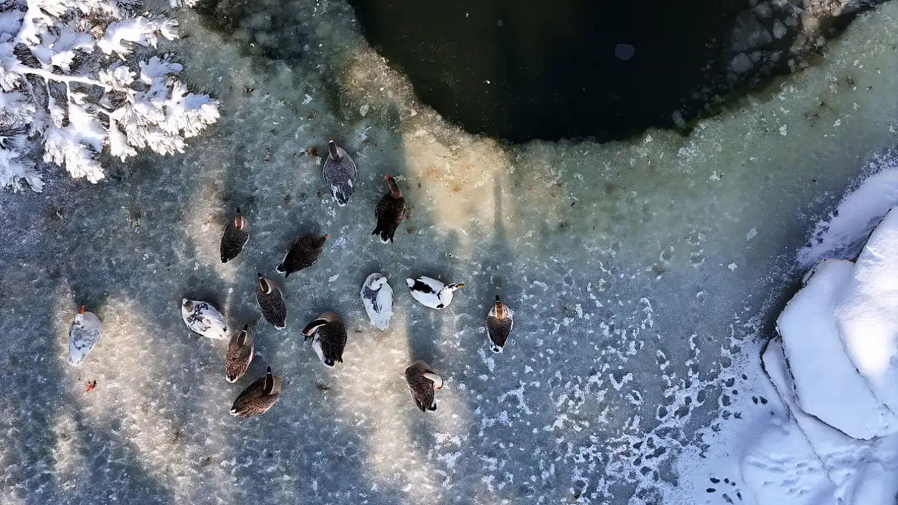 Kayseri'de sular buz tuttu