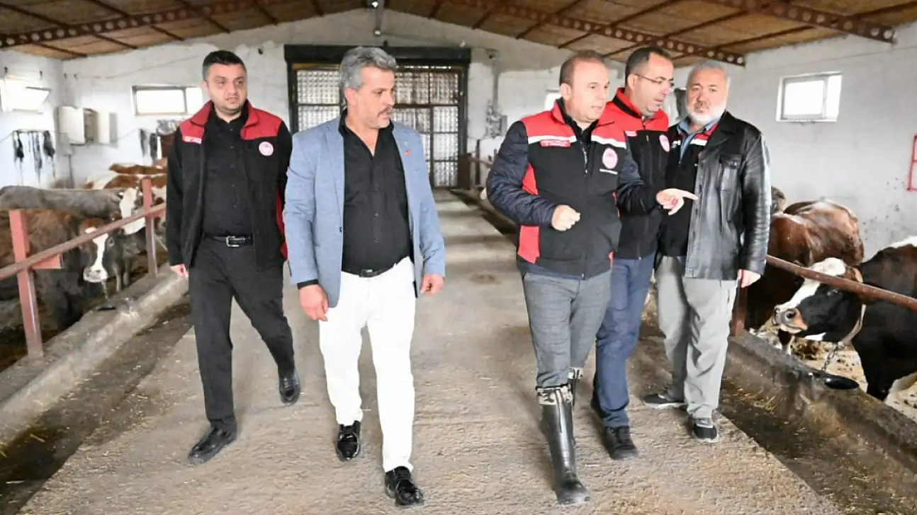 Kayseri'de tarlada hasat, ahırda inceleme!