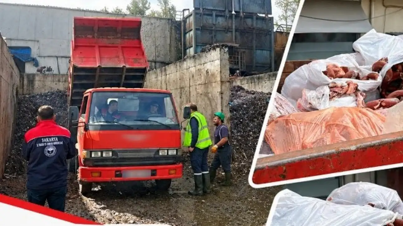 Kayseri'deki at-eşek eti şokunun ardından şimdi de domuz eti!