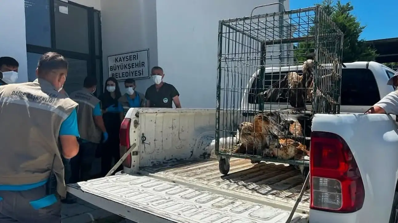 Kayseri'den doğaya en güzel teslimat