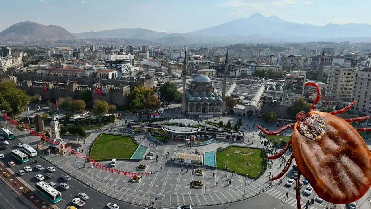 Kayseri ve çevresinde kene alarmı! En riskli alanlar belli oldu