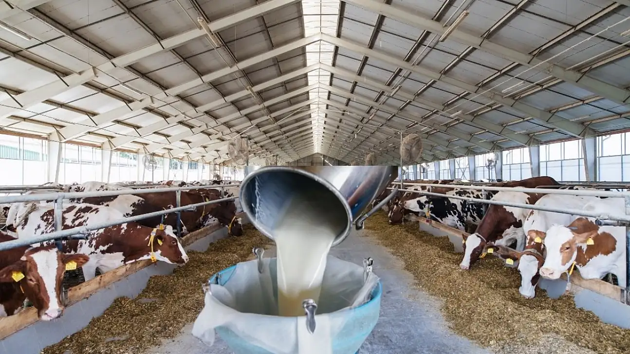 Kayseri'ye 270 milyon müjdesi