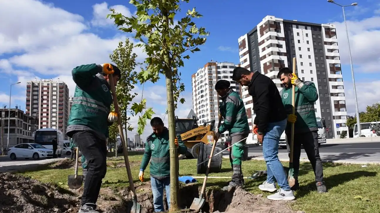 Kocasinan'da yeşil seferberlik! Ağaçlar toprakla buluşuyor