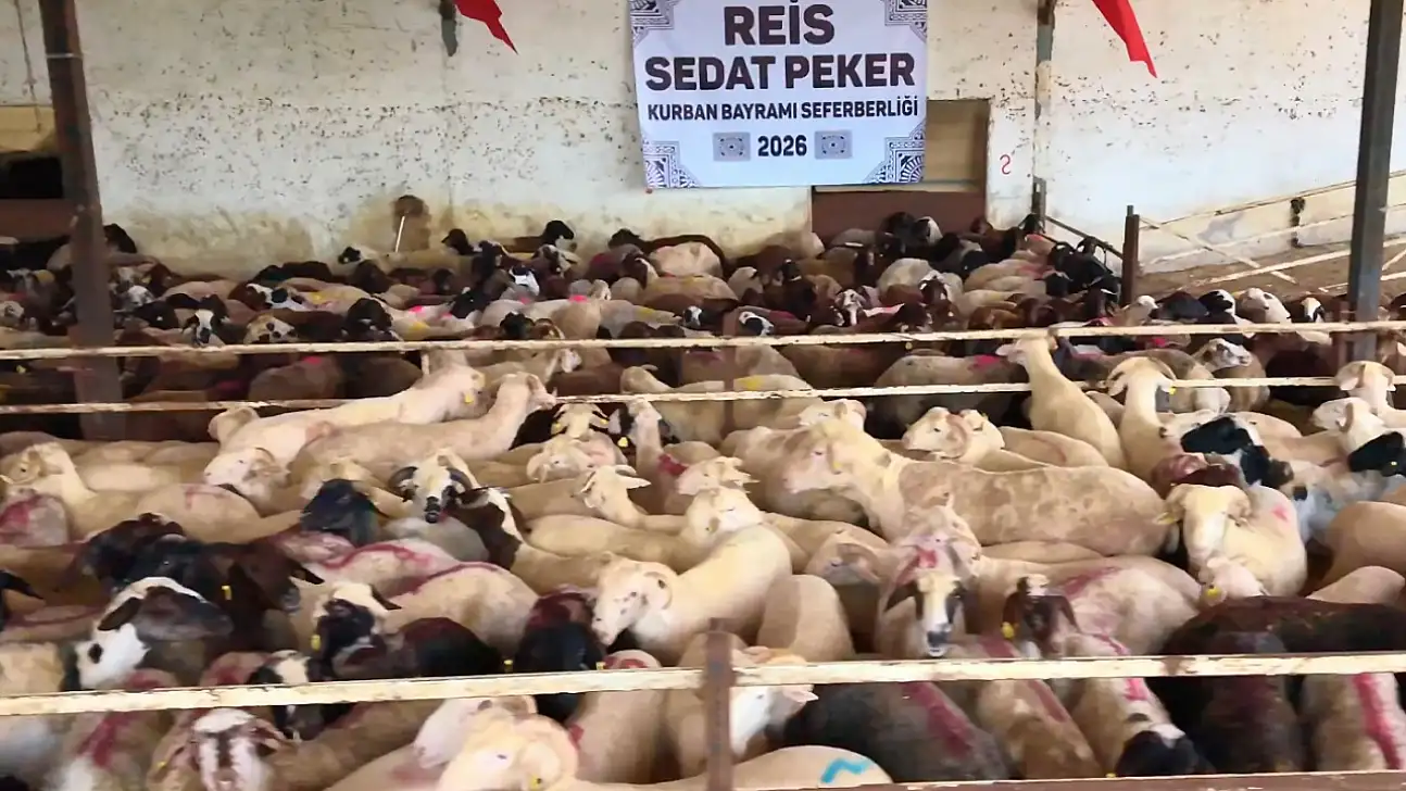 Sedat Peker'den Kayseri'ye kurban yardımı