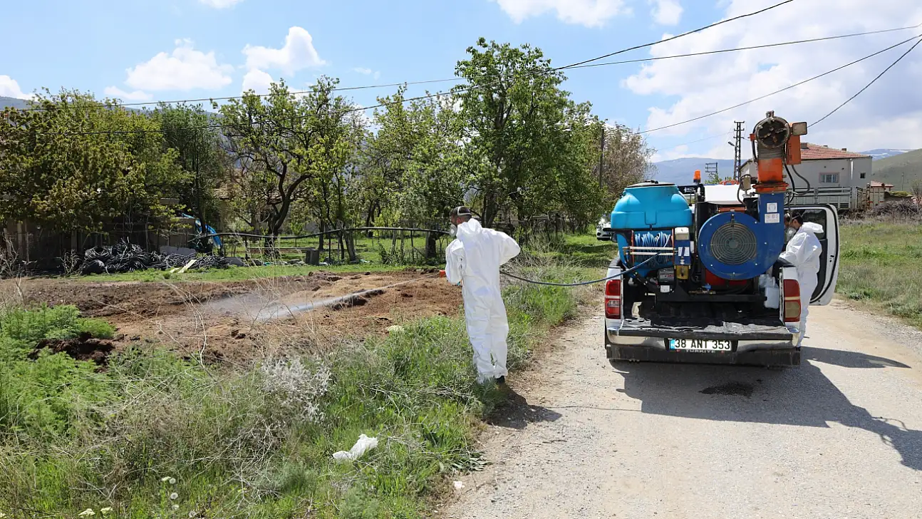 Sulak bölgelerden dere yataklarına! Kayseri'de belediyenin larva alarmı