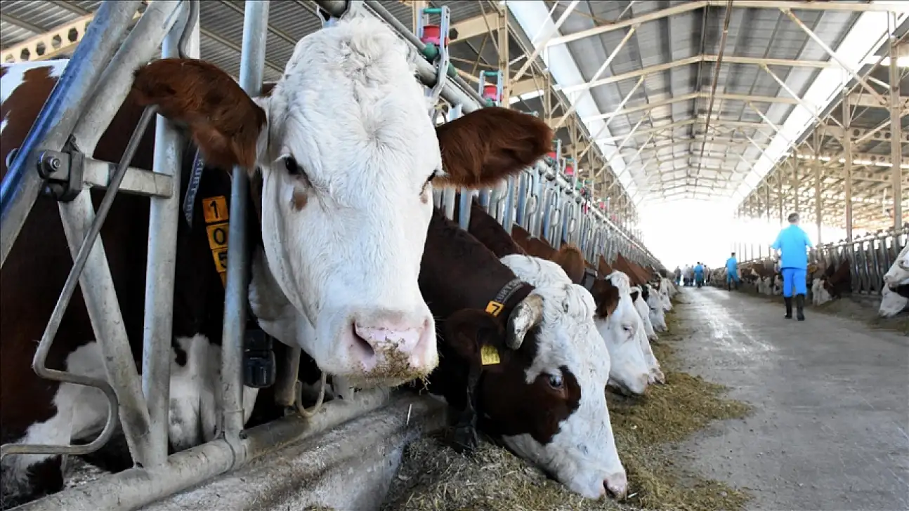 Üretici istedi, Ankara onayladı: O şart kaldırıldı!