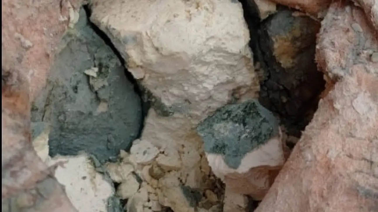 Zahmeti büyük, faydası daha büyük: Bir avuç çıkıyor, bir kış yetiyor