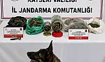 Jandarma ihbar üzerine harekete geçti: Ele geçirenler dikkat çekti