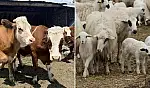 Kayseri'de binlerce üreticiyi ilgilendiren başvuru başladı