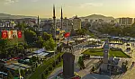 Kayseri'de boynunda plastik boruyla bulundu