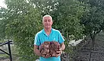Kayseri'de bulundu! Yanan, kokan gizemli taşın ne olduğu merak ediliyor