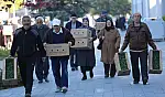 Kayseri'de yarın ücretsiz domates fidesi dağıtılacak! 4 farklı yer belirlendi