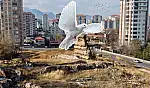 Kayseri'deki Basiliada merak konusu oldu! Mahalleye talih kuşu mu kondu?