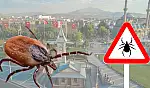 Şimdiden 5 can aldı: İşte keneyi çoğaltan faktörler...