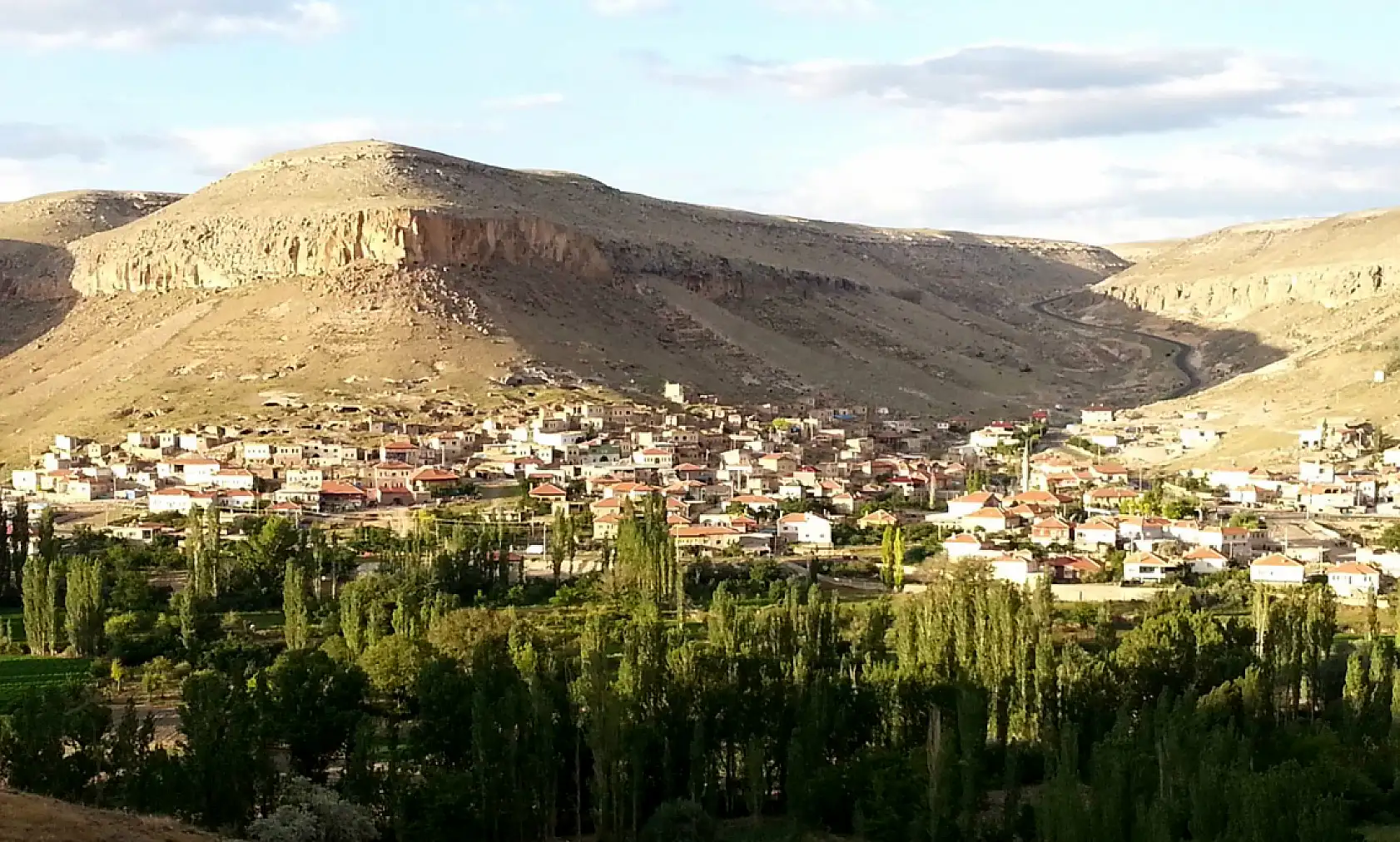 Kayseri'de o bölgede korku dolu anlar! Mahalleye kadar geldi
