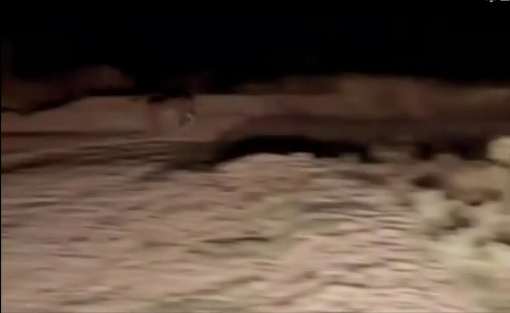 Ormanın Hayaleti Kayseri'de karanlık çökünce bir anda çiftçinin önüne çıktı!