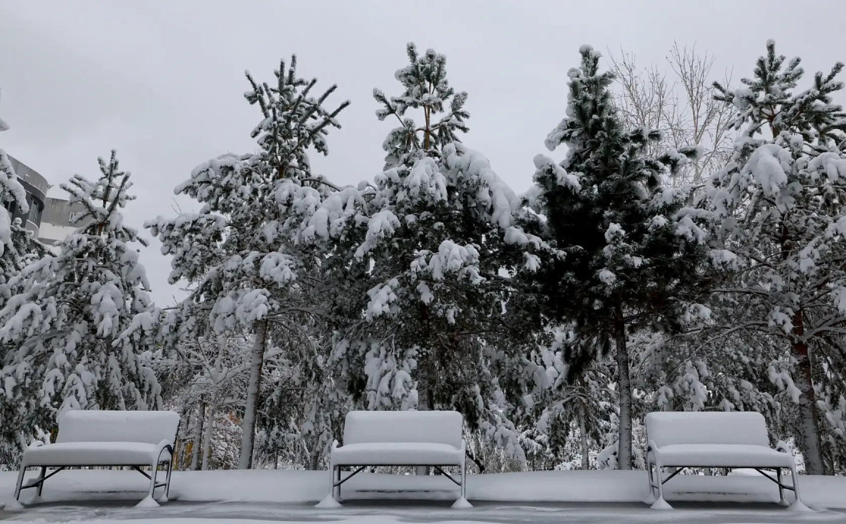 Kayseri'deki üniversiteler paylaştı