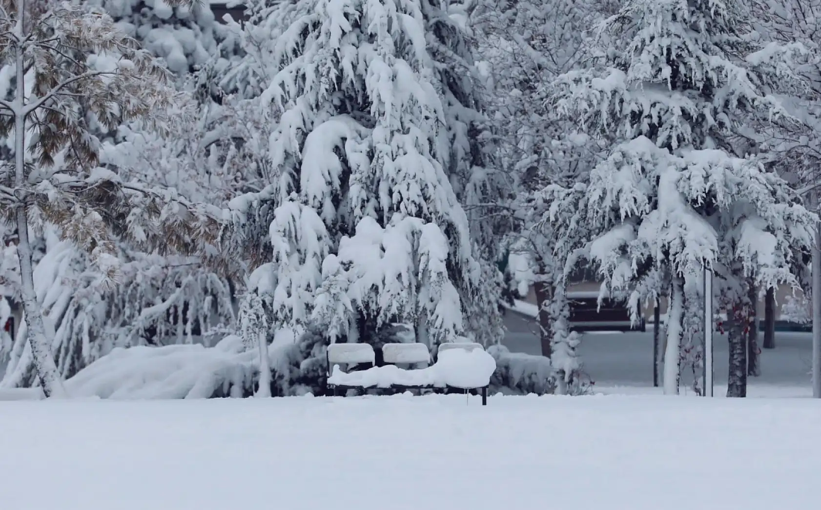 Kayseri'deki üniversiteler paylaştı