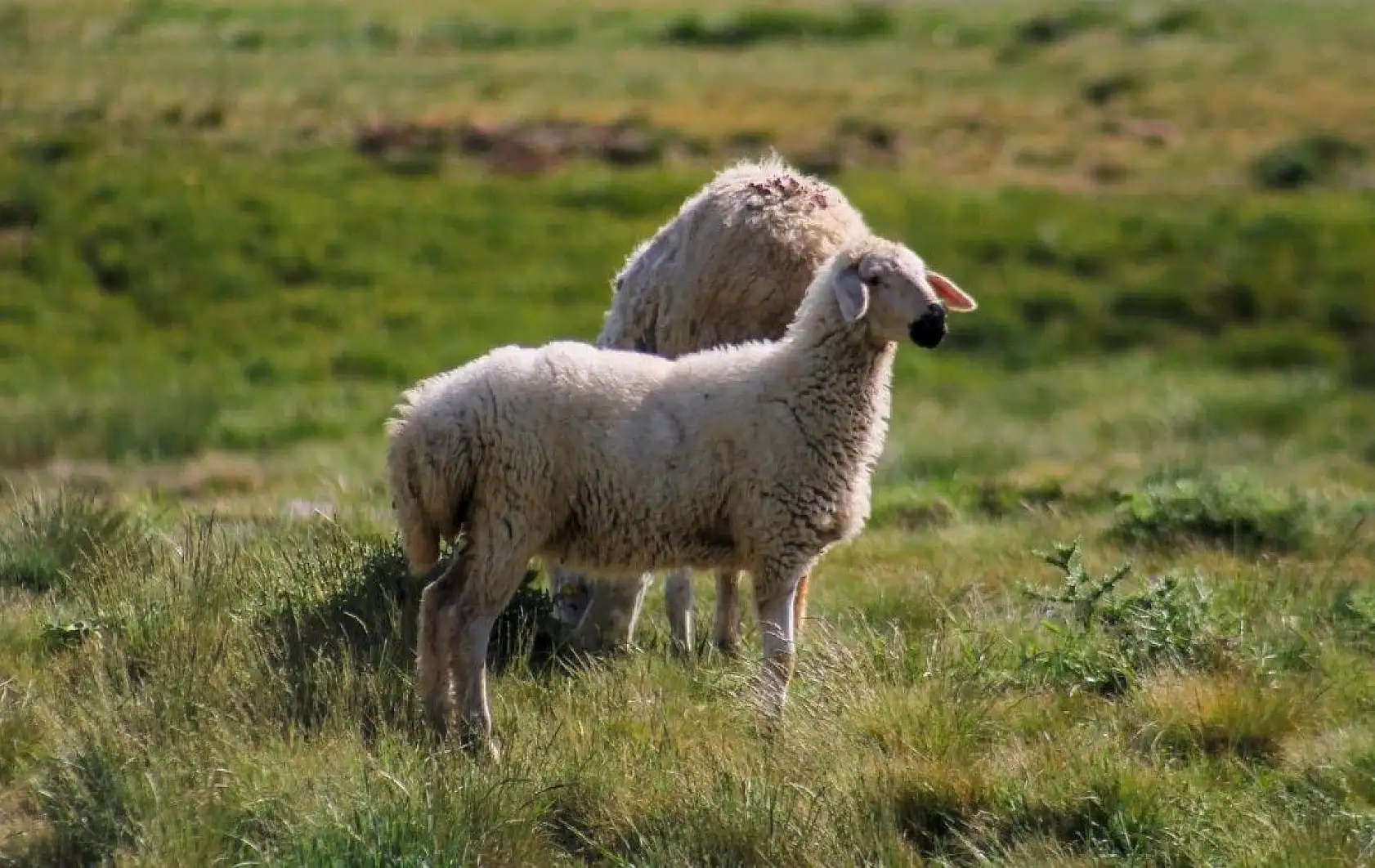 Erciyes'te muhteşem görüntüler
