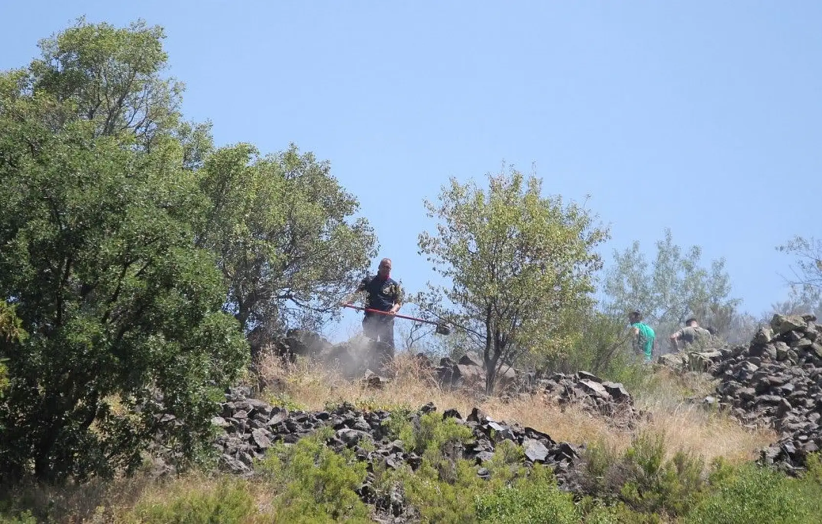 Bin 200 ağaç kurtarıldı