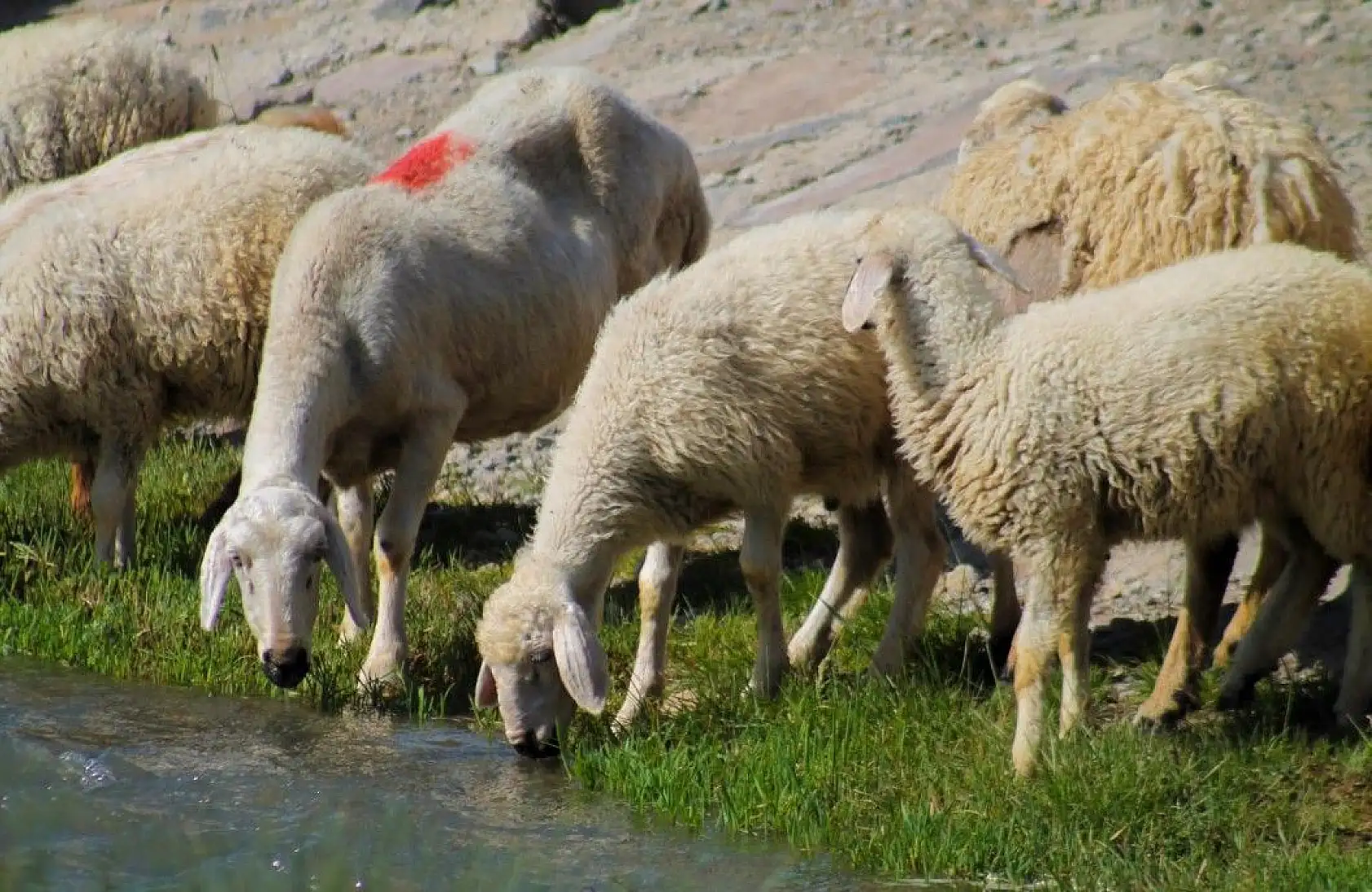 Erciyes'te muhteşem görüntüler