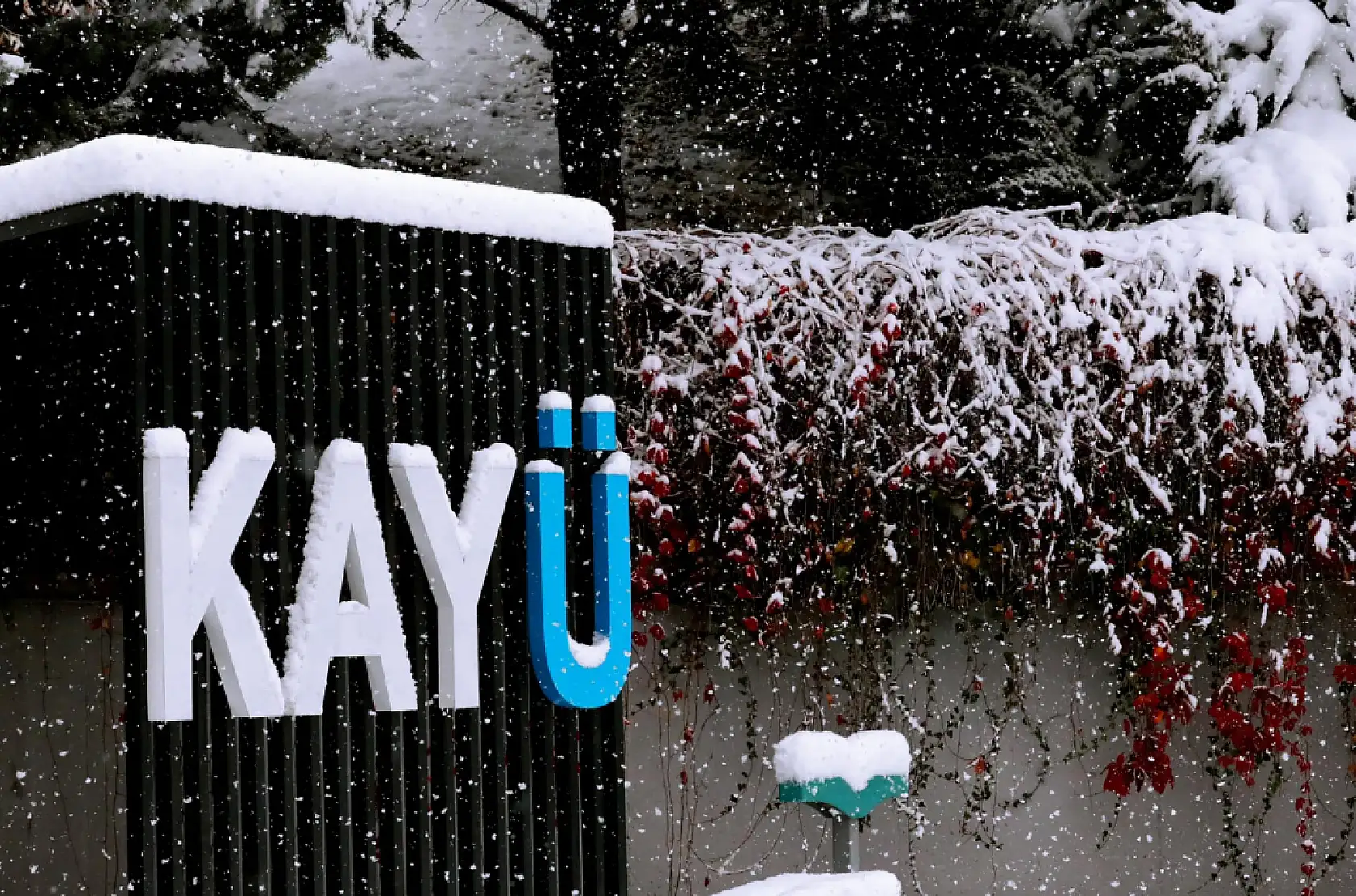 Kayseri'deki üniversiteler paylaştı