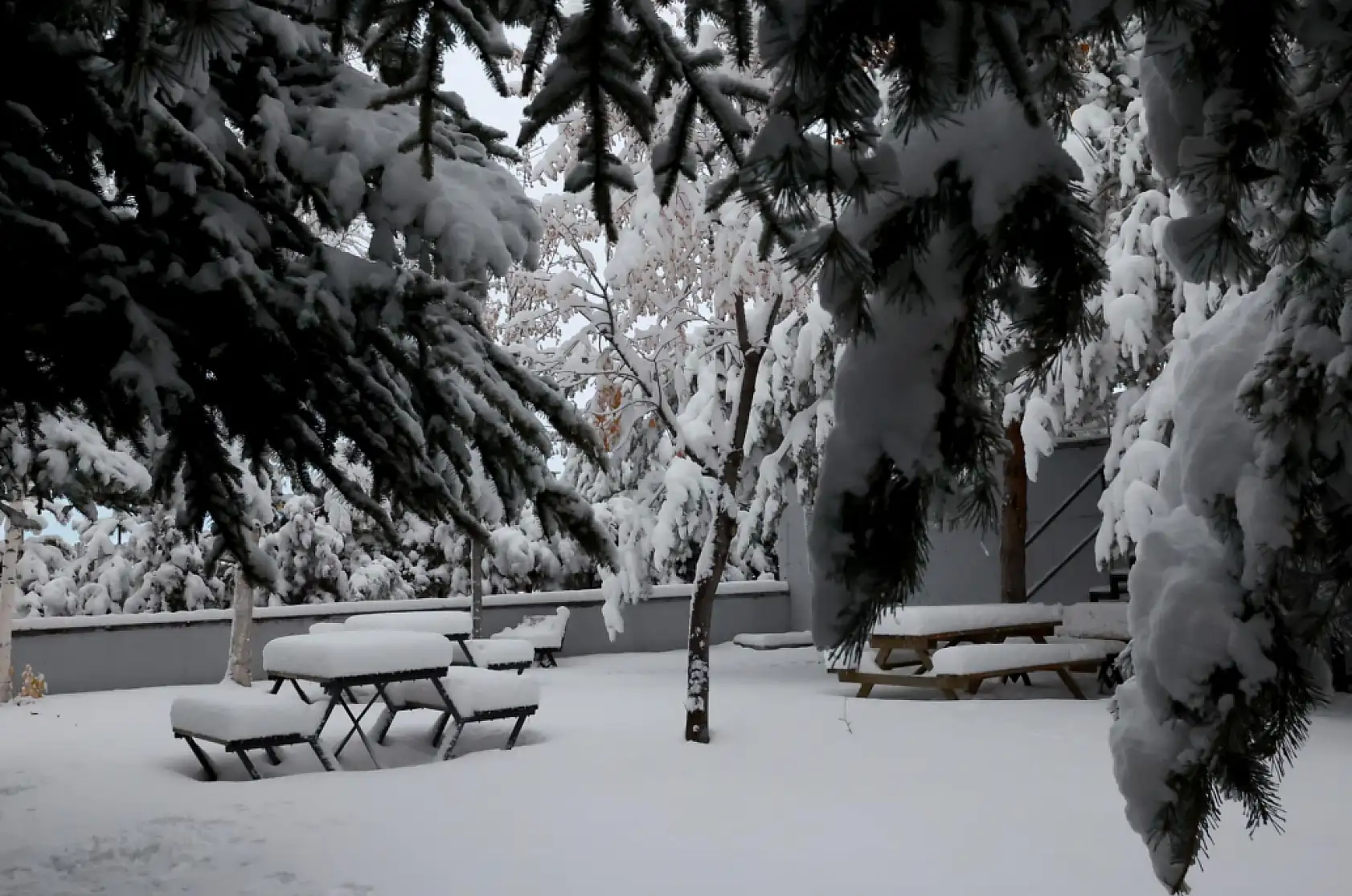 Kayseri'deki üniversiteler paylaştı