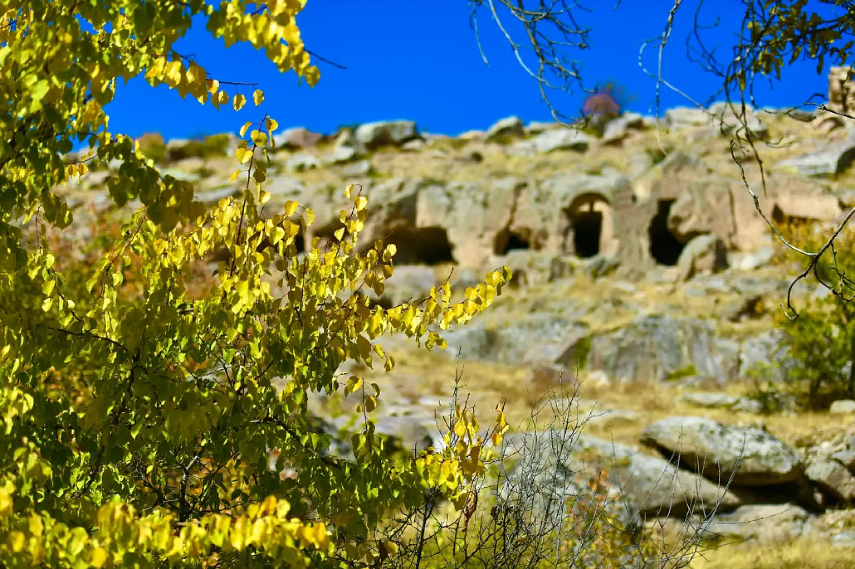 Başkan paylaştı! Görmeyen kalmasın, Kayseri'de orası Sonbahar'da bir başka güzel!