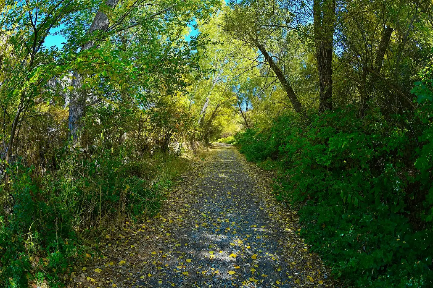 Başkan paylaştı! Görmeyen kalmasın, Kayseri'de orası Sonbahar'da bir başka güzel!