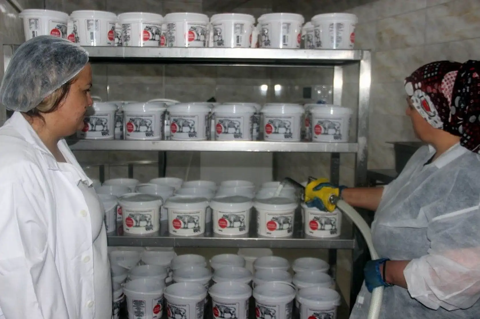 Günde 1 ton manda sütü işleniyor