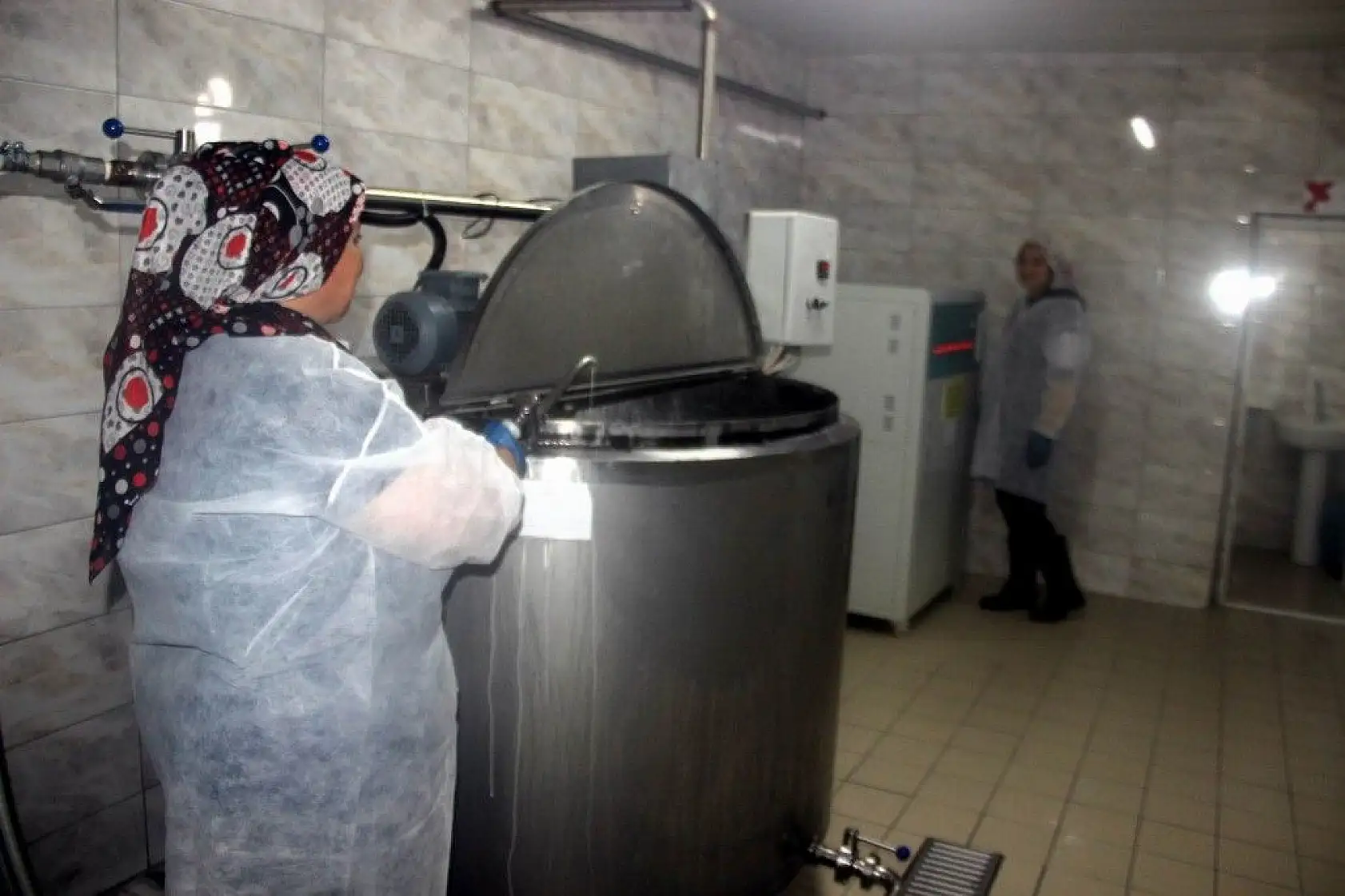 Günde 1 ton manda sütü işleniyor