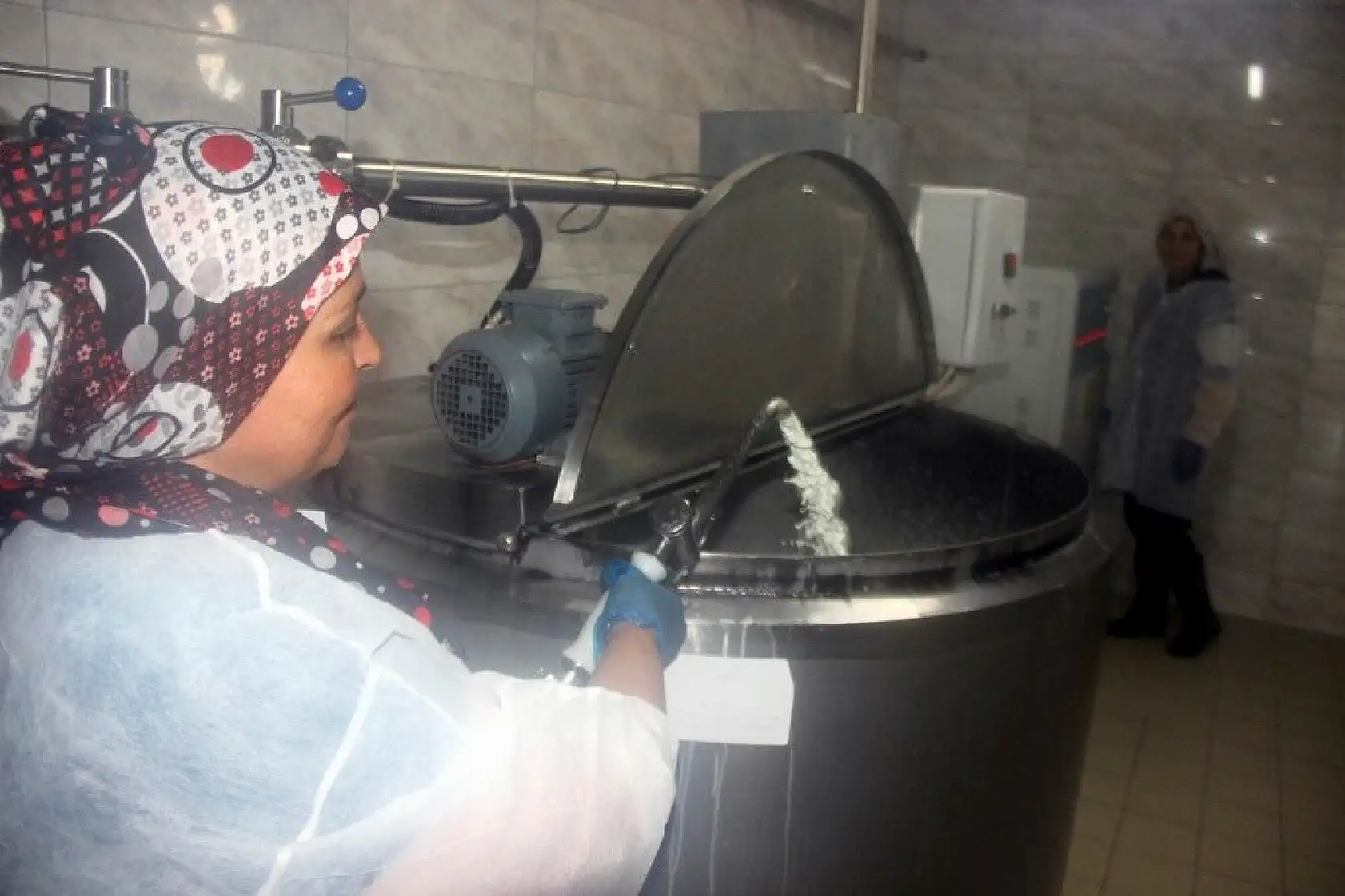 Günde 1 ton manda sütü işleniyor