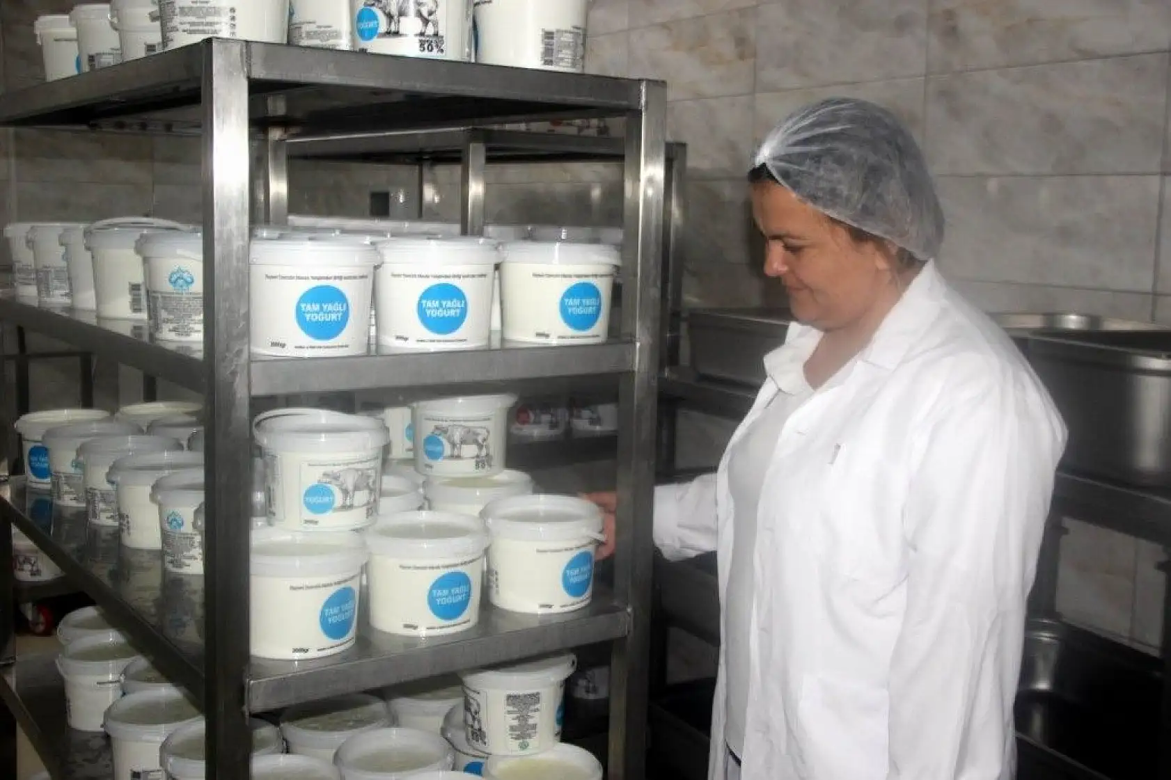 Günde 1 ton manda sütü işleniyor