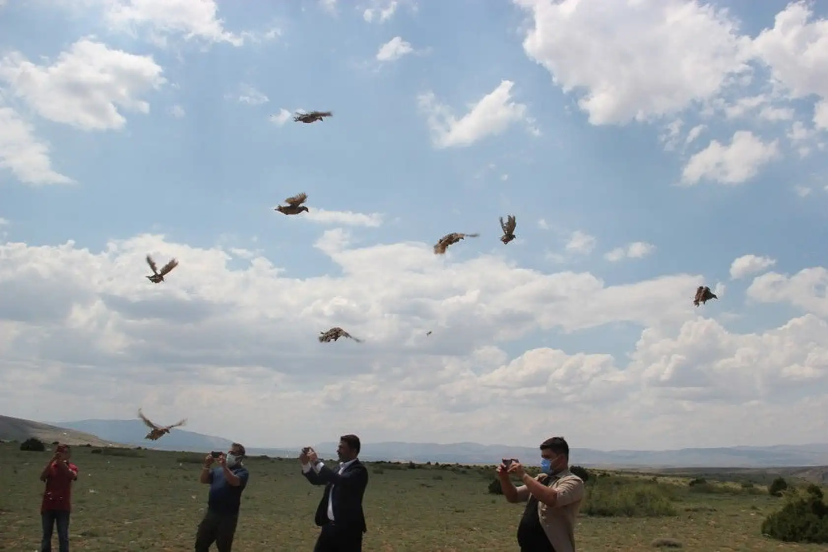 550 keklik doğaya salındı