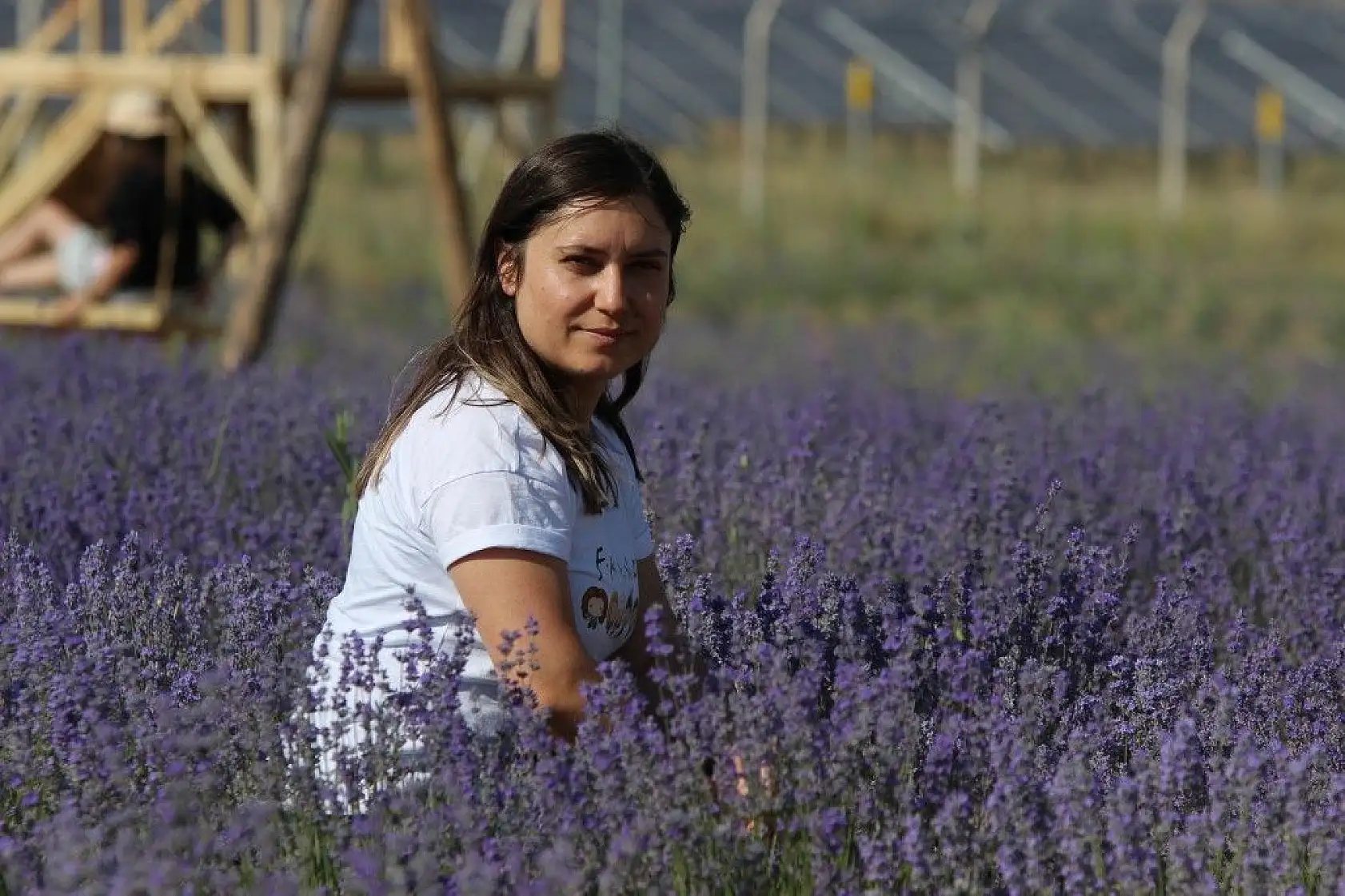 Bozkıra lavanta bahçesi kurdu