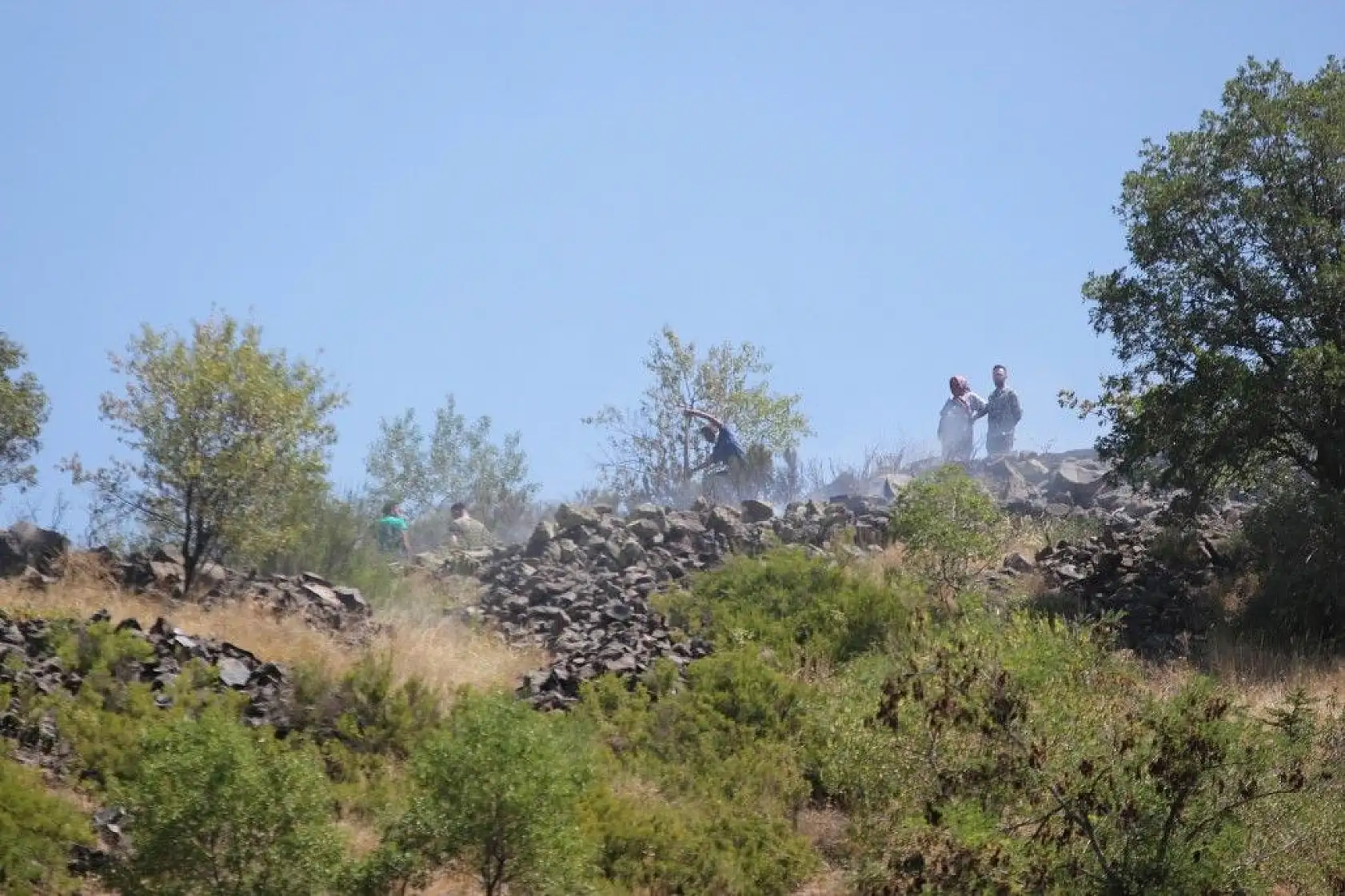 Bin 200 ağaç kurtarıldı