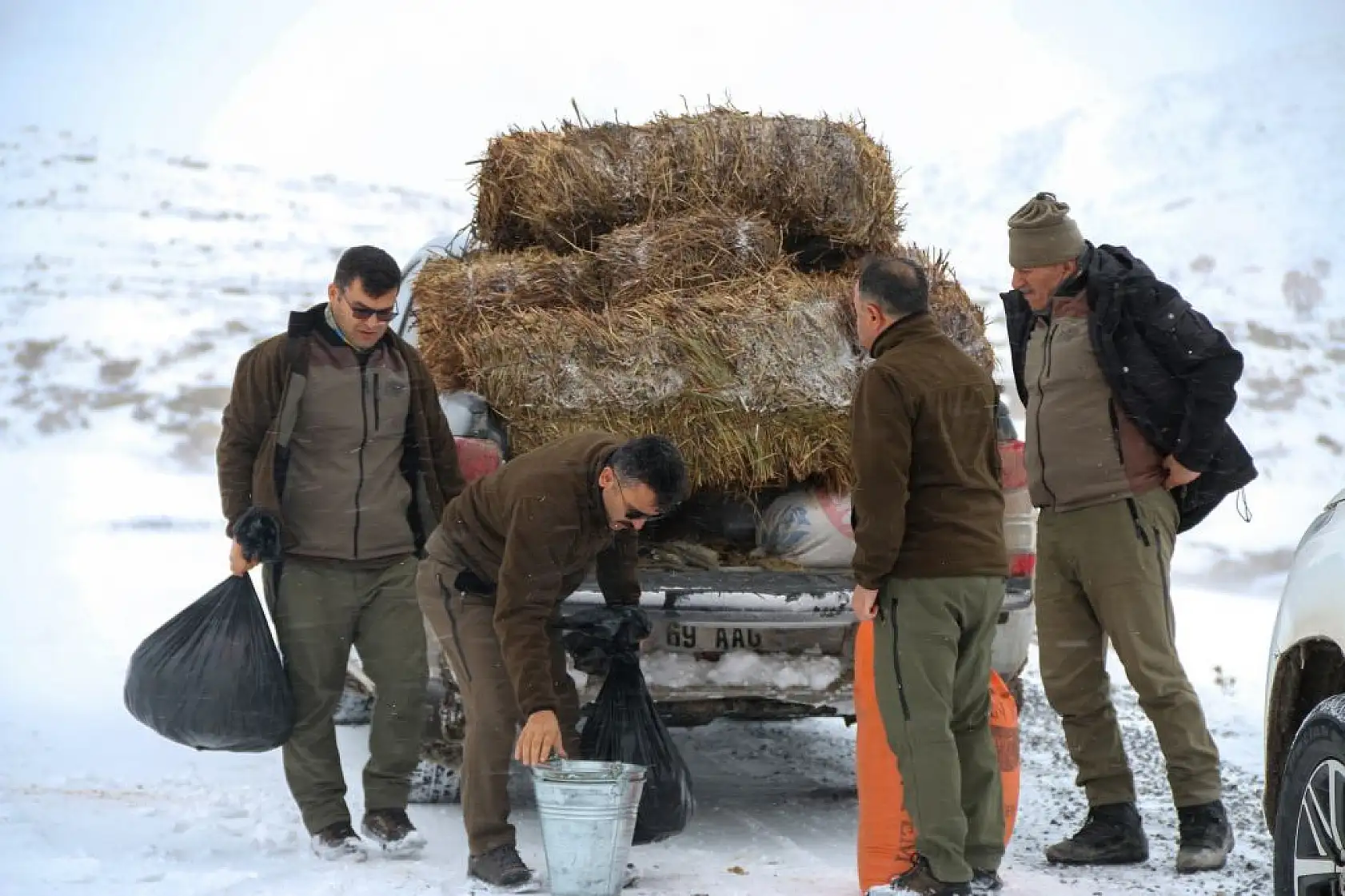 Dağ keçileri drone ile görüntülendi