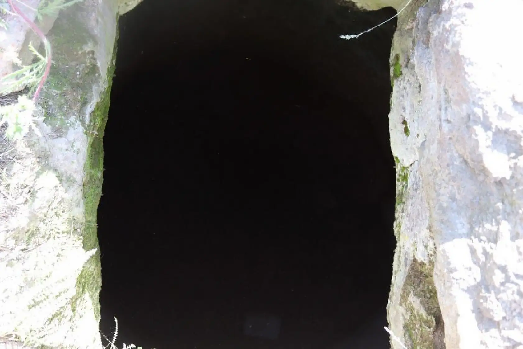 İnsan kemikleri bulundu