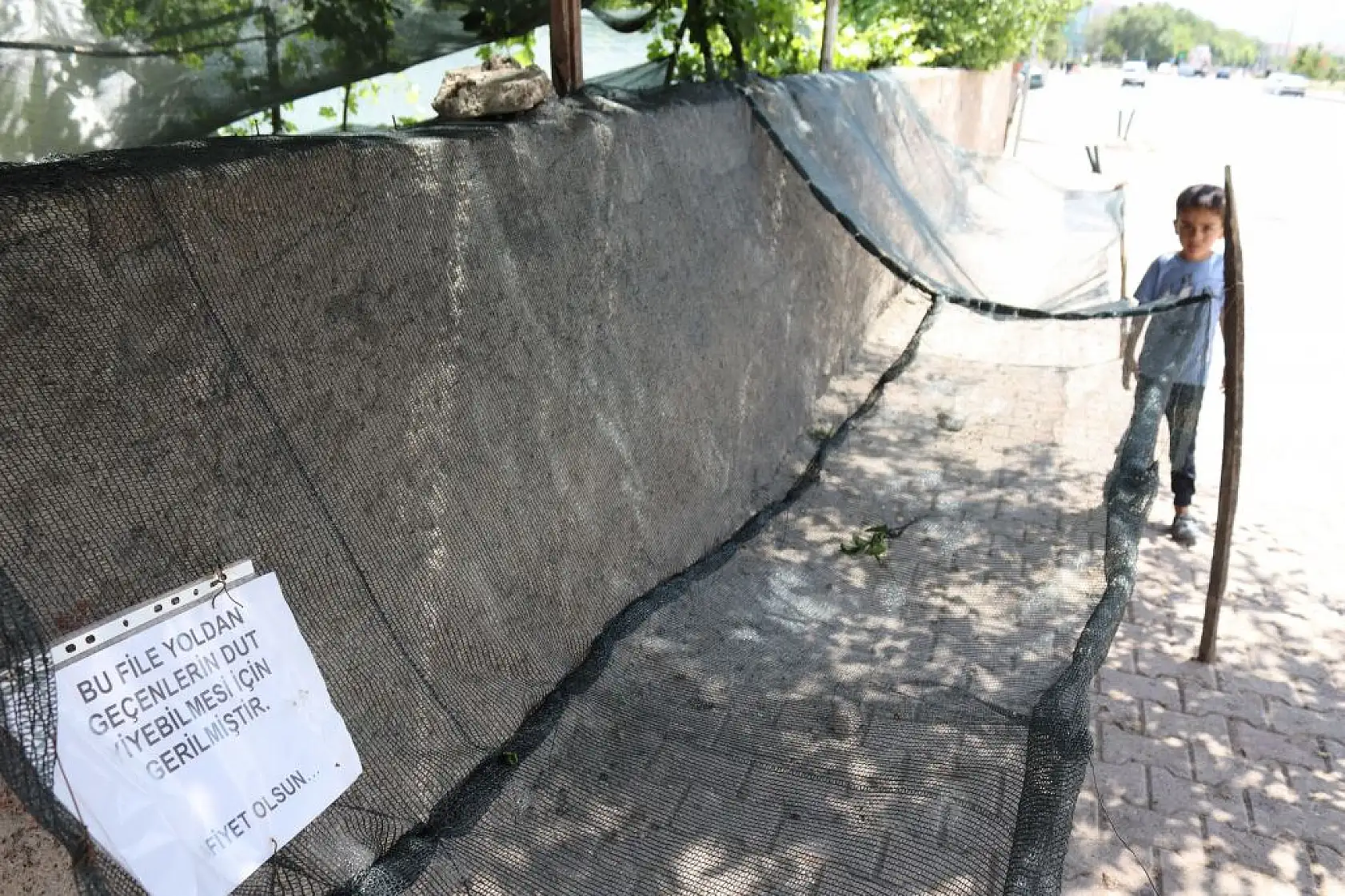 Seyit amca helal olsun dedirtti