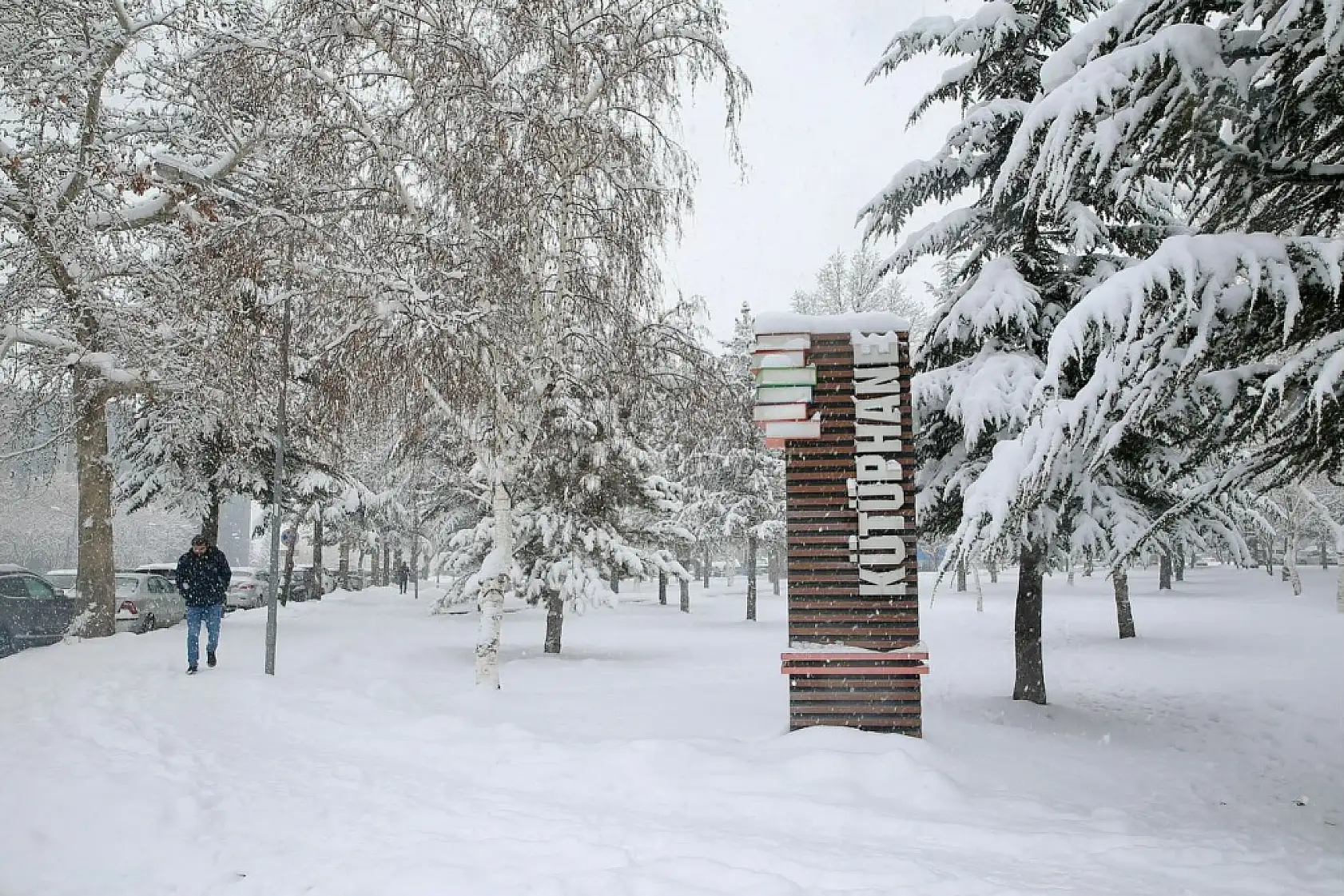 Kayseri'de çekildi! İşte kentten kar manzaraları