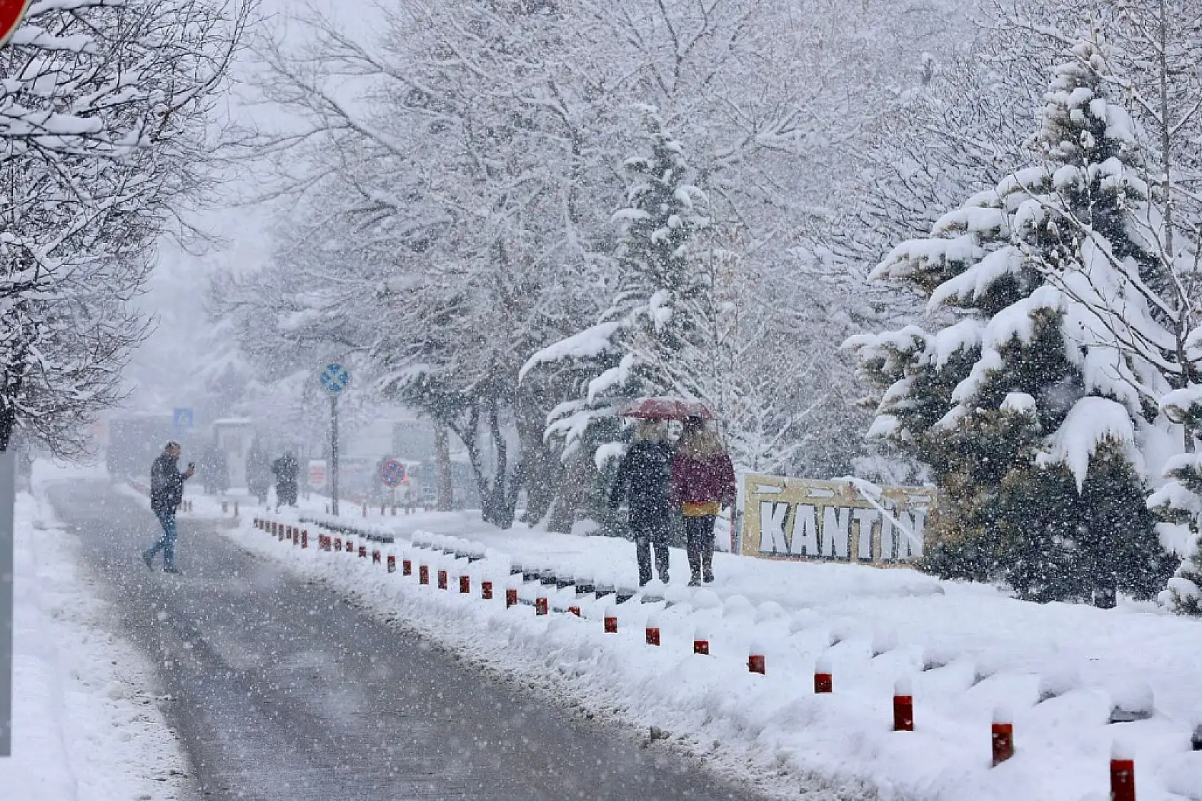 Kayseri'de çekildi! İşte kentten kar manzaraları