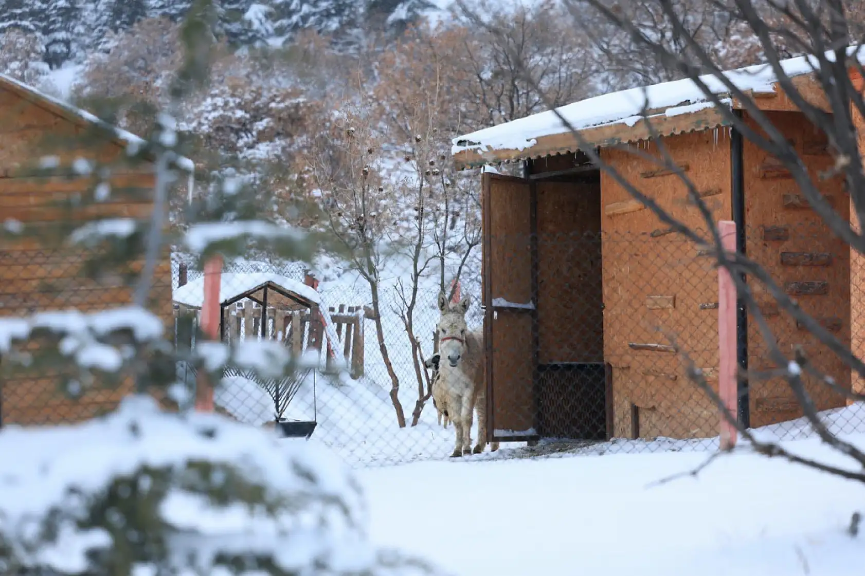 Bu fotoğraflar Kayseri'de çekildi! Görenler bir daha baktı