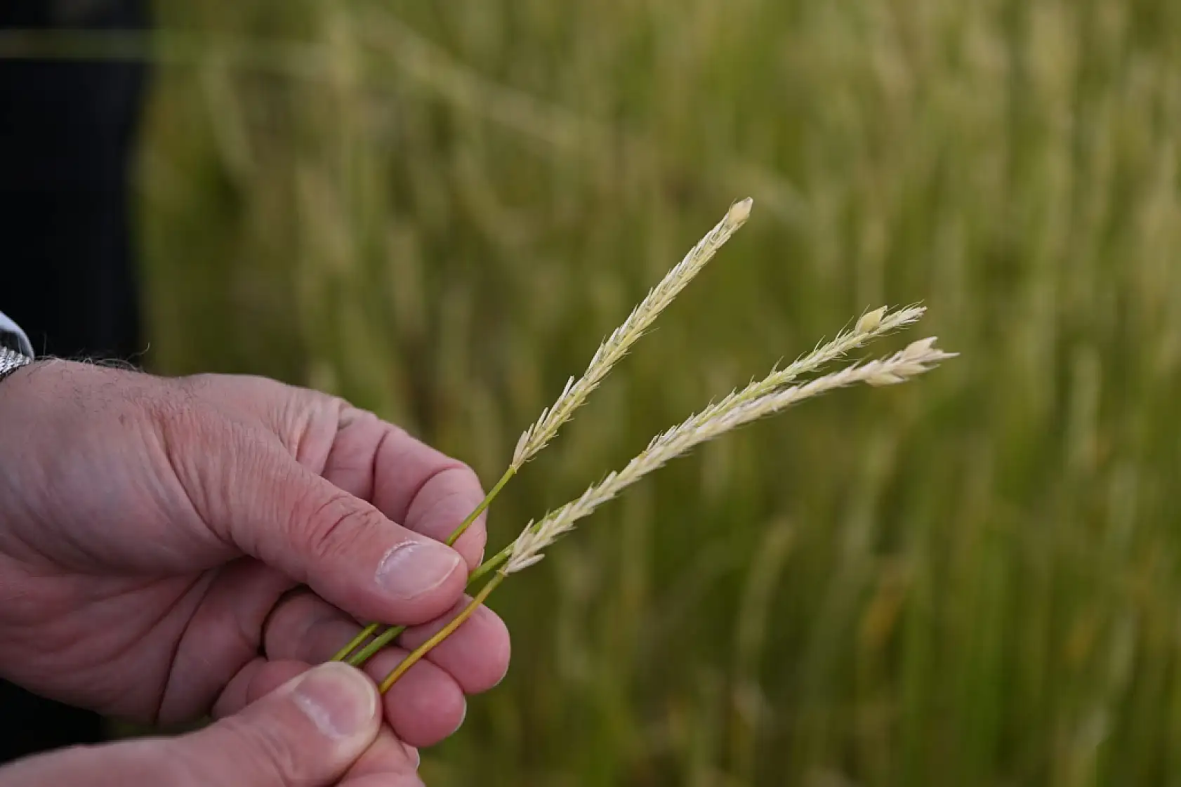 Kayseri'de kimler borç batağında! Kent 15'inci oldu