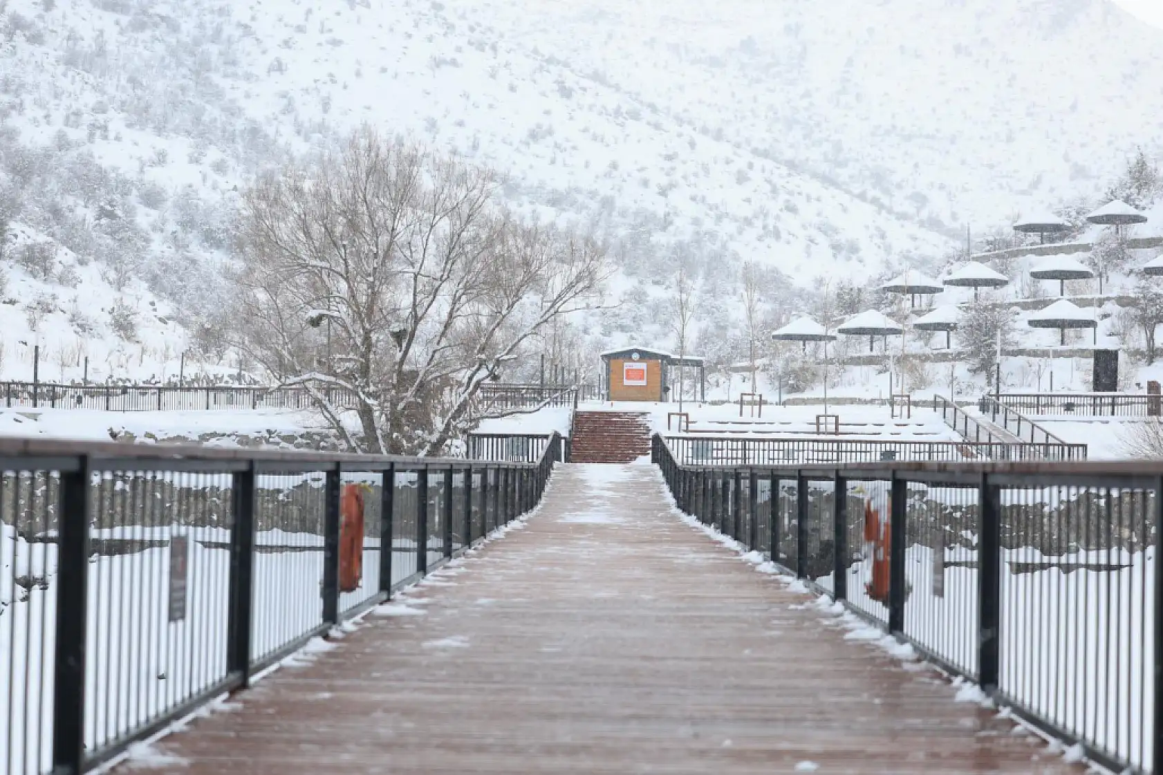 Bu fotoğraflar Kayseri'de çekildi! Görenler bir daha baktı